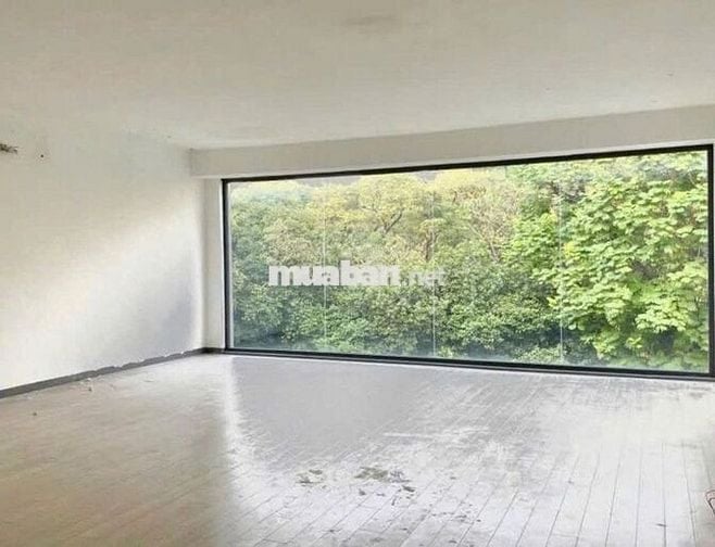 Cho thuê toà nhà showroom và spa Trương Định, Phường 9, Quận 3