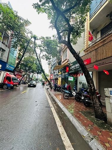 Bán Biệt Thự BT3, khu đô thị Bắc Linh Đàm 230m2, 5T, MT 28m, giá 62 tỷ