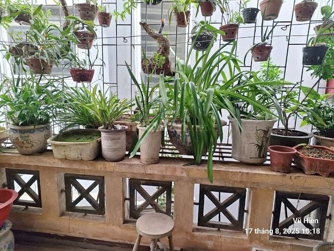 BÁN NHÀ 4 tầng mặt phố Long Biên 2, Bồ Đề, 64,5m2, nở hậu 