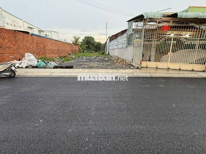 Mặt Tiền Kinh Doanh đường nhựa 10m Thị Trấn Củ Chi 183m2 Sổ Hồng Riêng