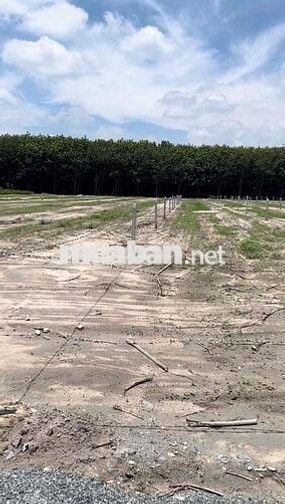 Lô đất giữa lòng 2 KCN muốn tìm chủ nhân mới