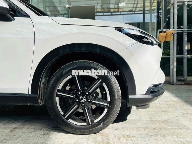 HRV G 2023 1 CHỦ CỰC ĐẸP