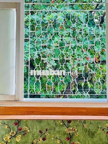 Nhà Nguyên căn Nguyễn Trãi Quận 1 Full nội thất