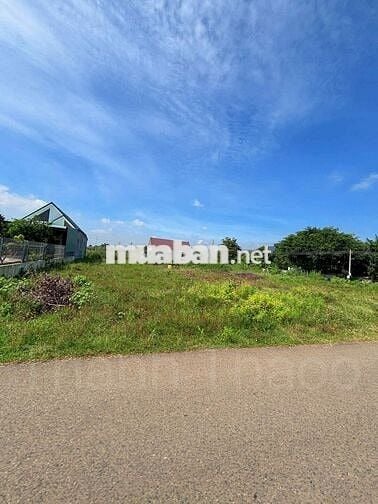 CHỦ NGỘP RA NHANH LÔ ĐẤT TRUNG TÂM HÒA LONG GẦN VÒNG XOAY