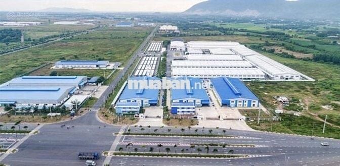 BÁN ĐẤT THỔ CƯ SẴN SỔ MẶT TIỀN OTO TRÁNH GẦN KCN CHÂU ĐỨC