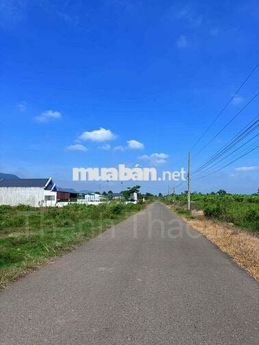 CHỦ NGỘP RA NHANH LÔ ĐẤT TRUNG TÂM HÒA LONG GẦN VÒNG XOAY