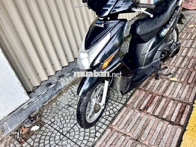 XE CLICK MÁY RIN BIỂN 43