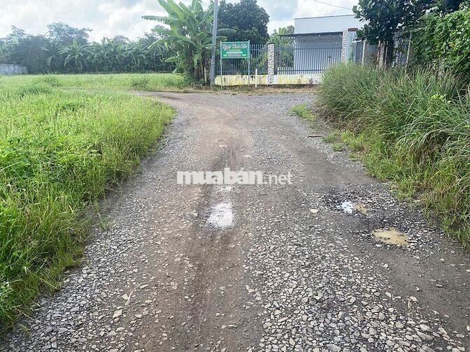 BÁN 1465M2 ĐẤT CÓ HAI MẶT TIỀN ĐƯỜNG HIÊN THỊ,DÂN CƯ ĐÔNG ĐÚC