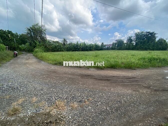 BÁN 1465M2 ĐẤT CÓ HAI MẶT TIỀN ĐƯỜNG HIÊN THỊ,DÂN CƯ ĐÔNG ĐÚC