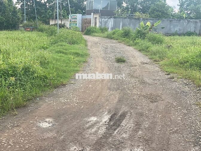 BÁN 1465M2 ĐẤT CÓ HAI MẶT TIỀN ĐƯỜNG HIÊN THỊ,DÂN CƯ ĐÔNG ĐÚC