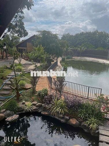 BÁN 9.2 SÀO NHÀ VƯỜN VIEW SUỐI - CÁCH PHỐ BMT 12Km