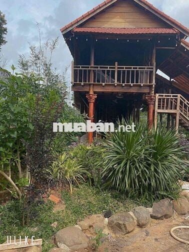 BÁN 9.2 SÀO NHÀ VƯỜN VIEW SUỐI - CÁCH PHỐ BMT 12Km