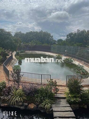 BÁN 9.2 SÀO NHÀ VƯỜN VIEW SUỐI - CÁCH PHỐ BMT 12Km