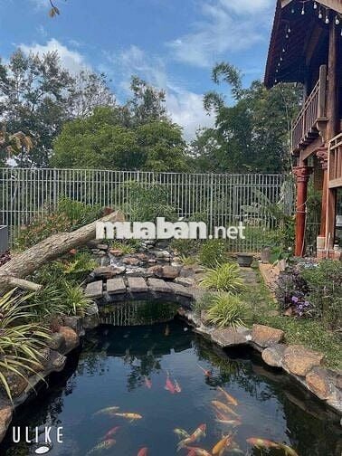 BÁN 9.2 SÀO NHÀ VƯỜN VIEW SUỐI - CÁCH PHỐ BMT 12Km