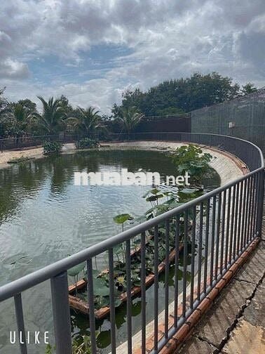 BÁN 9.2 SÀO NHÀ VƯỜN VIEW SUỐI - CÁCH PHỐ BMT 12Km