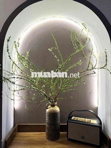 NHÀ THUÊ NGUYÊN CĂN CÓ SPA SẴNG VÀO KD