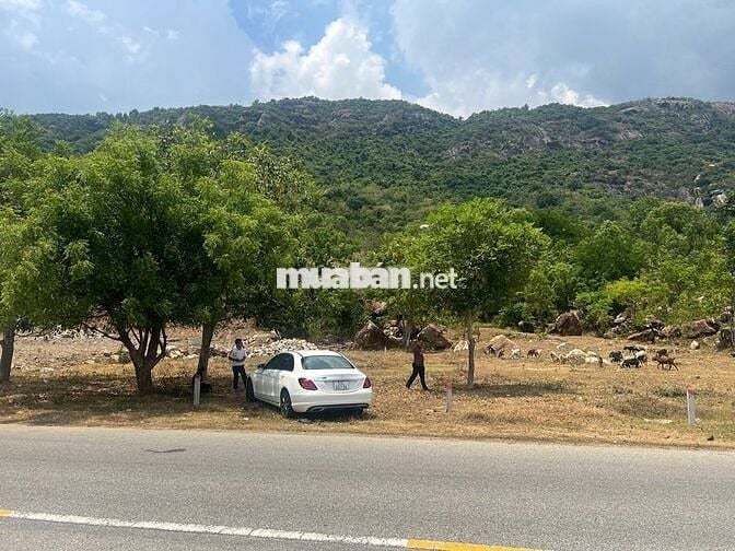 🌴 CƠ HỘI SỞ HỮU ĐẤT VEN BIỂN CAM RANH – GIÁ CÒN MỀM CHỈ CẦN 800TR