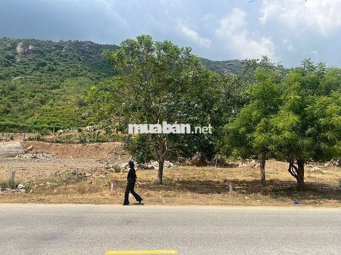 🌴 CƠ HỘI SỞ HỮU ĐẤT VEN BIỂN CAM RANH – GIÁ CÒN MỀM CHỈ CẦN 800TR