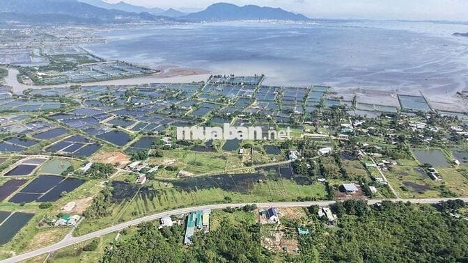 🌴 CƠ HỘI SỞ HỮU ĐẤT VEN BIỂN CAM RANH – GIÁ CÒN MỀM CHỈ CẦN 800TR