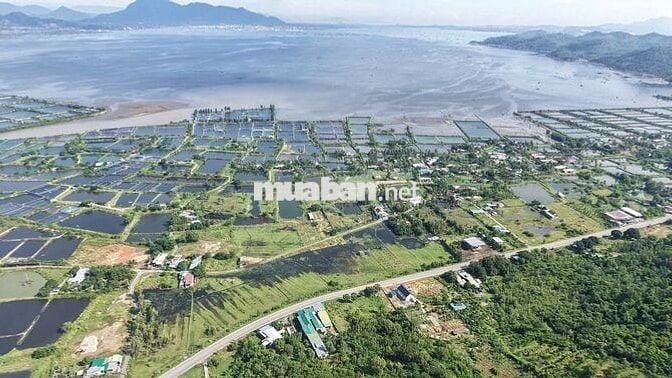 🌴 CƠ HỘI SỞ HỮU ĐẤT VEN BIỂN CAM RANH – GIÁ CÒN MỀM CHỈ CẦN 800TR