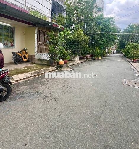 Cho Thuê Nhà Suốt Làm Kho / Xưởng Đường Hòa Bình, Tân Phú ( 8x20m )