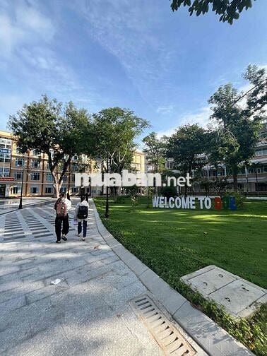 Chào bán lô đất phường Cẩm Lệ, kiệt 3m