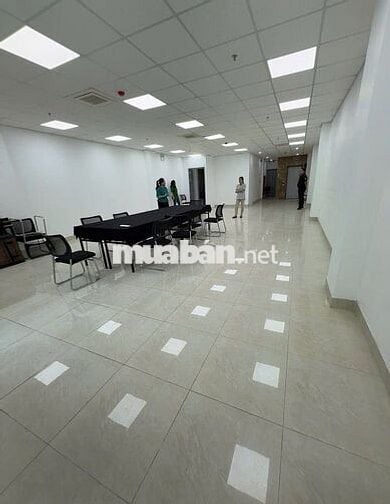 Cho thuê văn phòng Phổ Quang Tân Bình - sàn 150m² giá chỉ 30tr/tháng