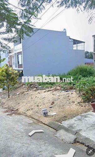 Chào Bán Lô ĐA MẶN 15 _ NAM VIỆT Á _ ĐÔNG NAM sạch đẹp