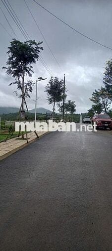 BÁN GẤP LÔ ĐẤT GẦN QUỐC LỘ 20 LÂM ĐỒNG