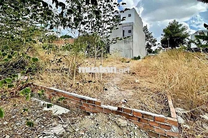 ĐẤT ATA PHÚ MỸ - ĐỐI DIỆN KHU BIỆT THỰ