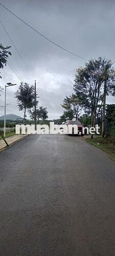 BÁN GẤP LÔ ĐẤT GẦN QUỐC LỘ 20 LÂM ĐỒNG