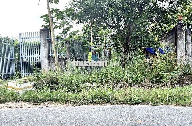 ĐẤT KHU PHỐ VẠN HẠNH VIEW SÁT NÚI - PHÚ MỸ