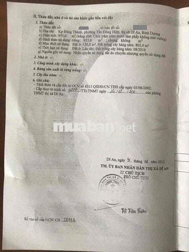 Đất gần ngã ba cây điệp, P Tân Đông Hiệp, TP Dĩ An.