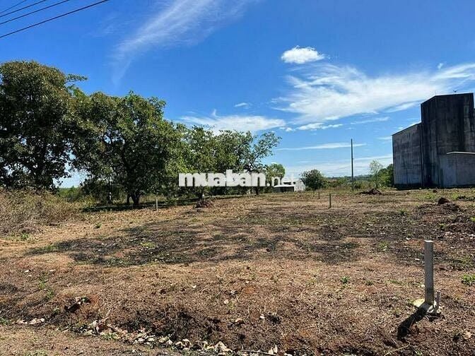 2 Nền F0 sẵn điện 3pha cách Quốc lộ 500 mét. 270tr bank hỗ trợ 220tr