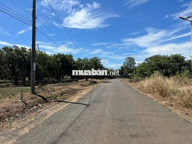 2 Nền F0 sẵn điện 3pha cách Quốc lộ 500 mét. 270tr bank hỗ trợ 220tr