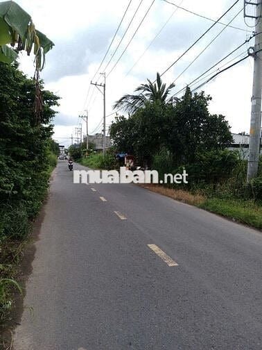 Chủ Kẹt Tiền Bán Gấp 110m2 thổ cư Giá 440tr ở Tân Thông Hội