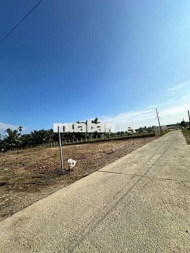 BÁN GẤP LÔ ĐẤT TRỤC CHÍNH ĐƯỜNG 7M5 GIÁ CHỈ 7XXTR