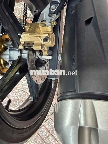 Ex 2018 cọp kêng bstp