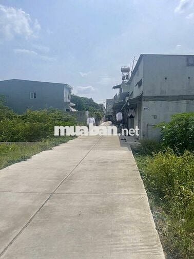 BÁN ĐẤT FULL THỔ VỊ TRÍ ĐẸP NGAY CHỢ VÌNH LỘC A - BÌNH CHÁNH