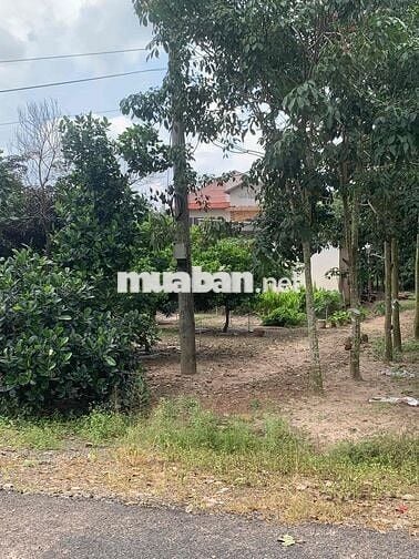 Cần sang lại giá rẻ căn nhà vườn hơn 500m2 để sang Mỹ định cư