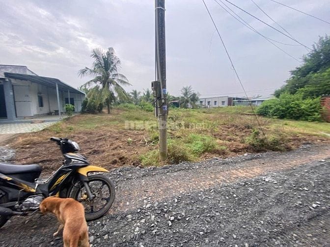 6x35 có thổ. Gần nhựa. Gần chợ và trường học. 590tr 