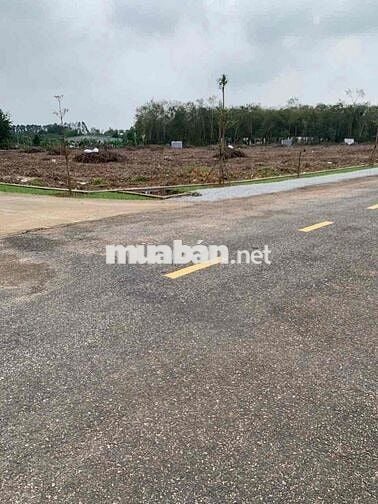 Sang ngay lô đất 250m2 ngay mặt tiền DH, giá rẻ công chứng ngay