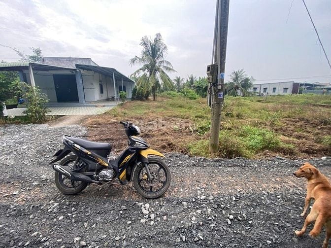 6x35 có thổ. Gần nhựa. Gần chợ và trường học. 590tr 