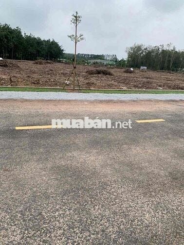 Sang ngay lô đất 250m2 ngay mặt tiền DH, giá rẻ công chứng ngay