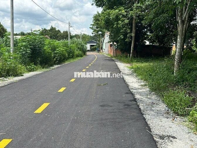 Bán Đất Ở Mặt Tiền Đường DH 519