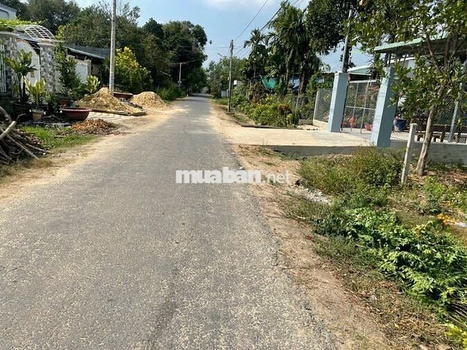 Đất chính chủ cần bán giá 900trieu SHR Ngay Cây Trôm Mỹ Khánh,Thái Mỹ