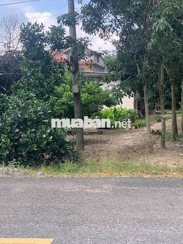 Cần sang lại giá rẻ căn nhà vườn hơn 500m2 để sang Mỹ định cư