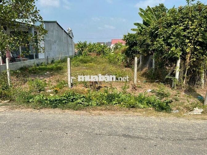 Đất chính chủ cần bán giá 900trieu SHR Ngay Cây Trôm Mỹ Khánh,Thái Mỹ