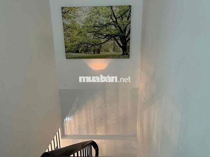 Cho thuê nhà Lê Lợi-P4-Gò Vấp - 12,5 triệu