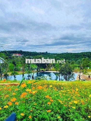 BÁN ĐẤT BIỆT THỰ NGHỈ DƯỠNG GIÁ CHỈ 890TR VIEW HỒ, Full thổ cư